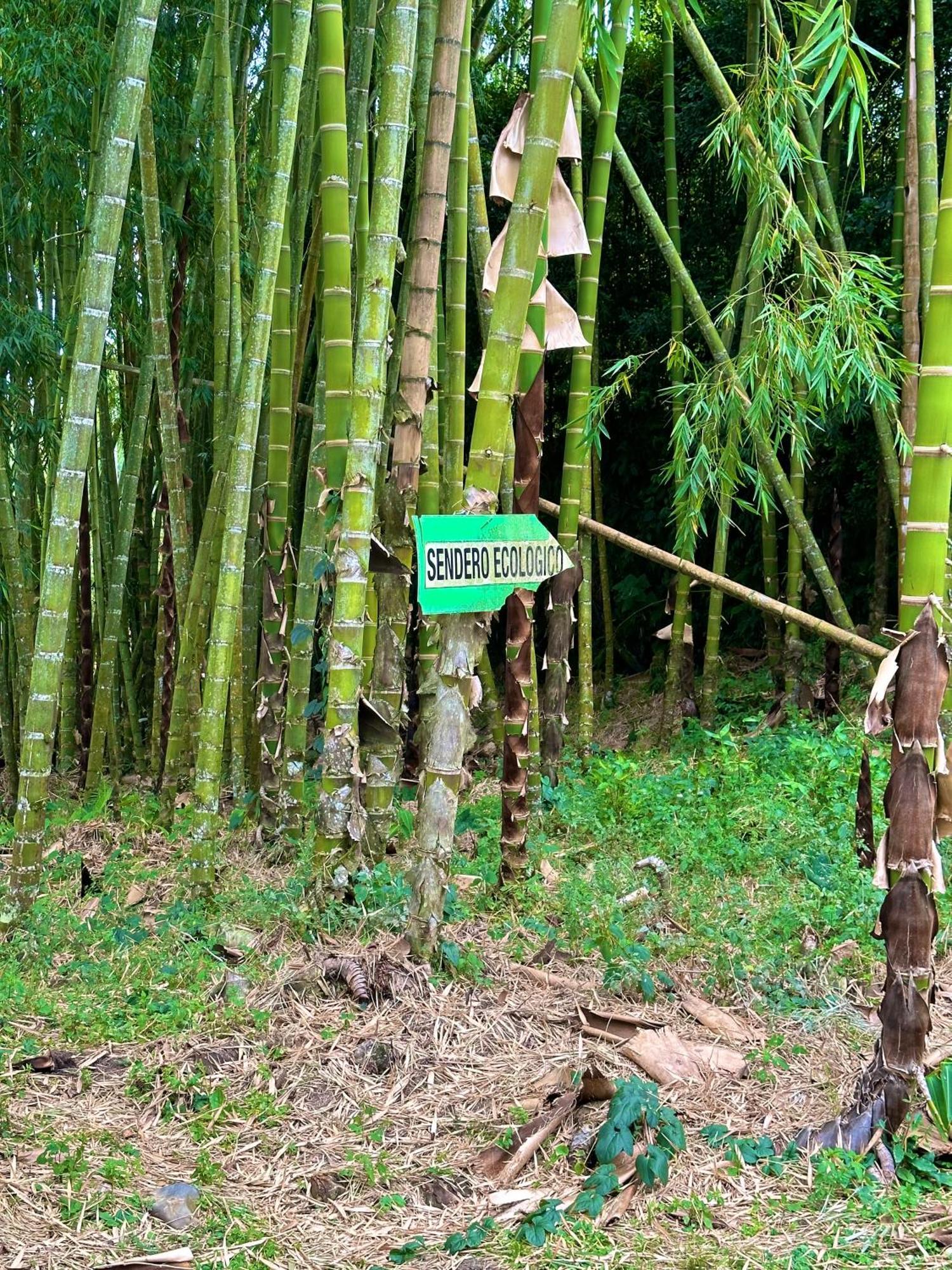 Eco Hotel La Selecta Pereira Exteriör bild