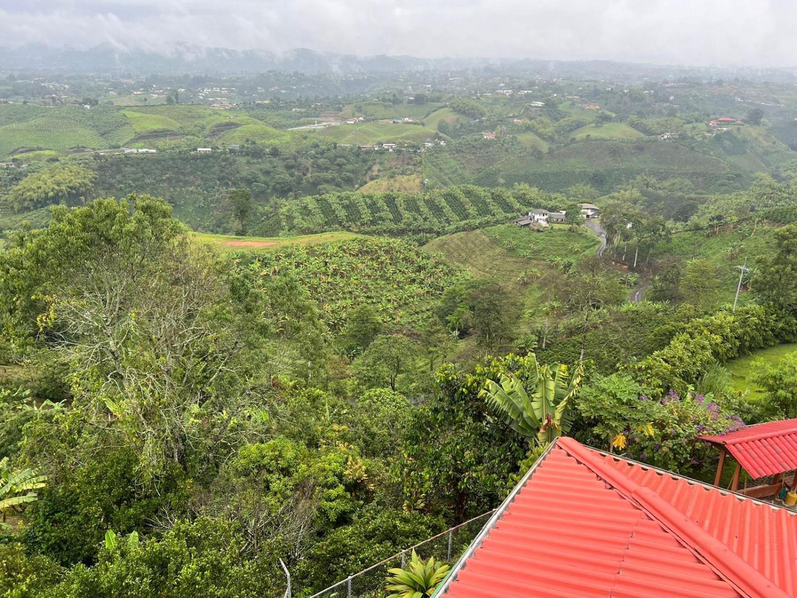 Eco Hotel La Selecta Pereira Exteriör bild