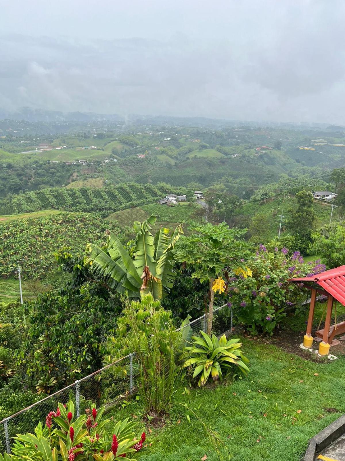 Eco Hotel La Selecta Pereira Exteriör bild